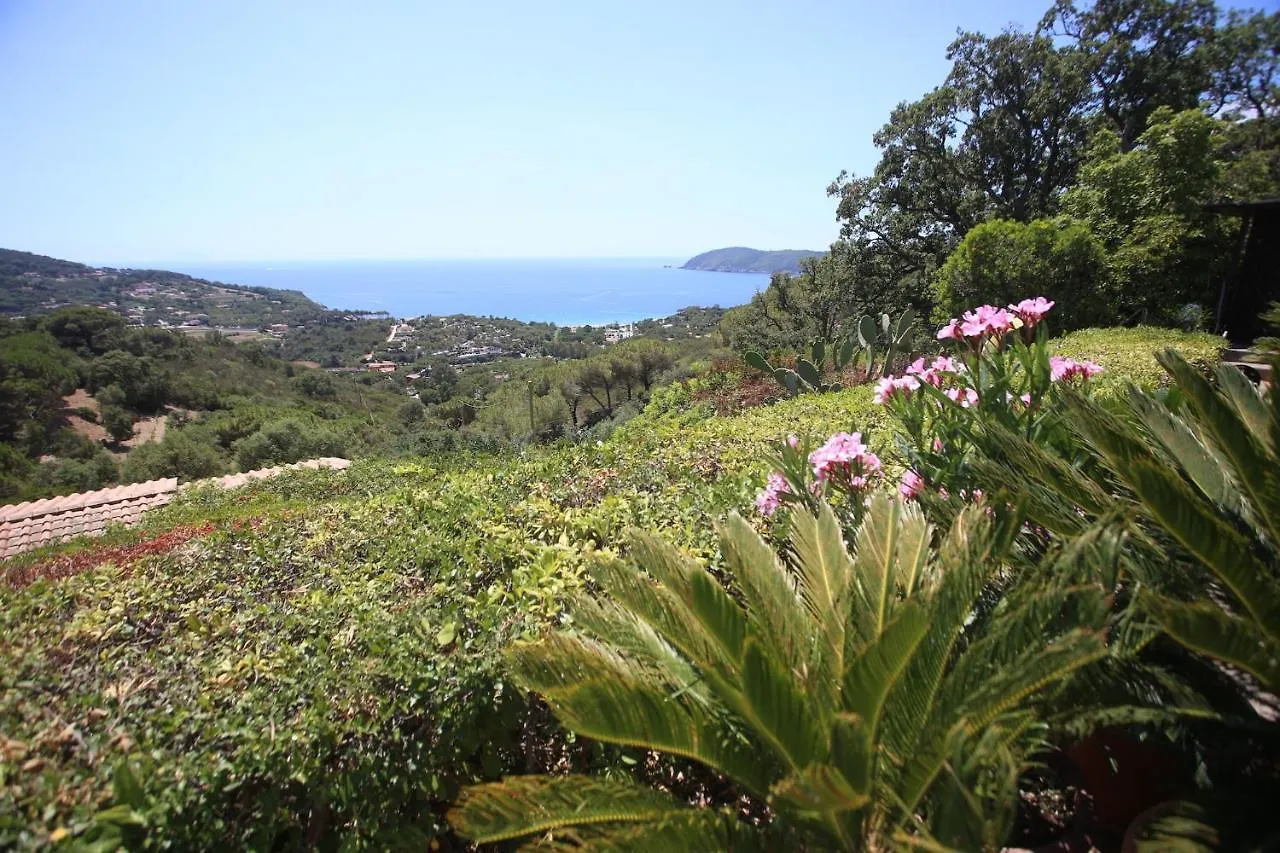 Ca' La Stella Sea-View Apartments Porto Azzurro
