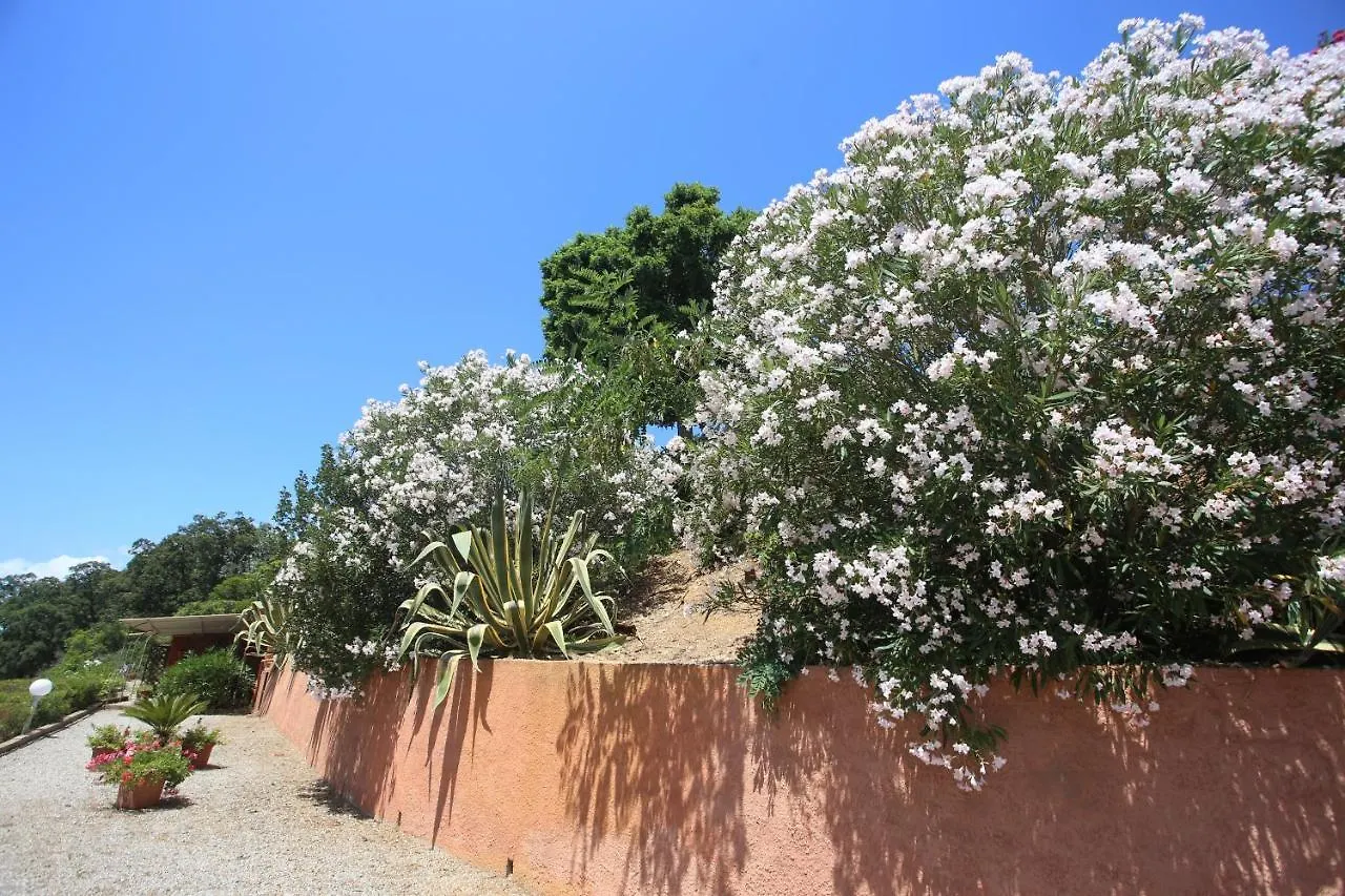 Ca' La Stella Sea-View Apartments Porto Azzurro
